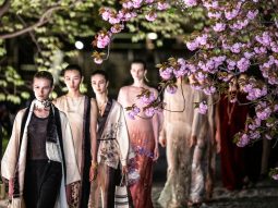 Dior Pre-Fall 2025 diễn ra dưới tán hoa anh đào Kyoto